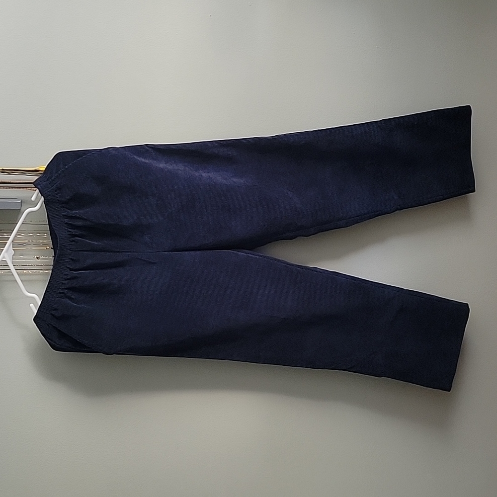 Blue Corduroy Alfred Dunner Pants